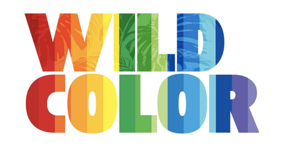 The words, "Wild Color" in rainbow font