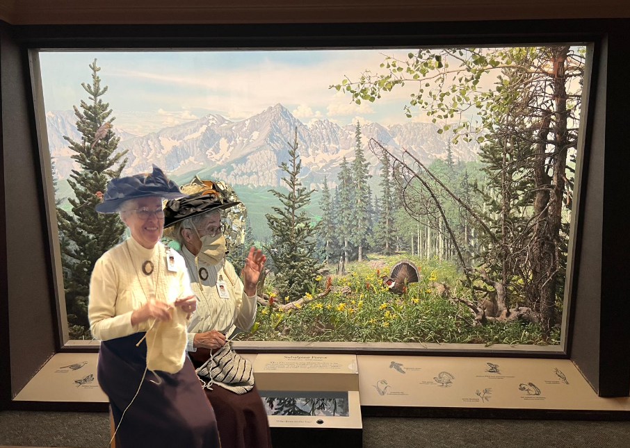 This is a photo of a woman dressed in 1900s clothing sitting in front of a Diorama at the DMNS