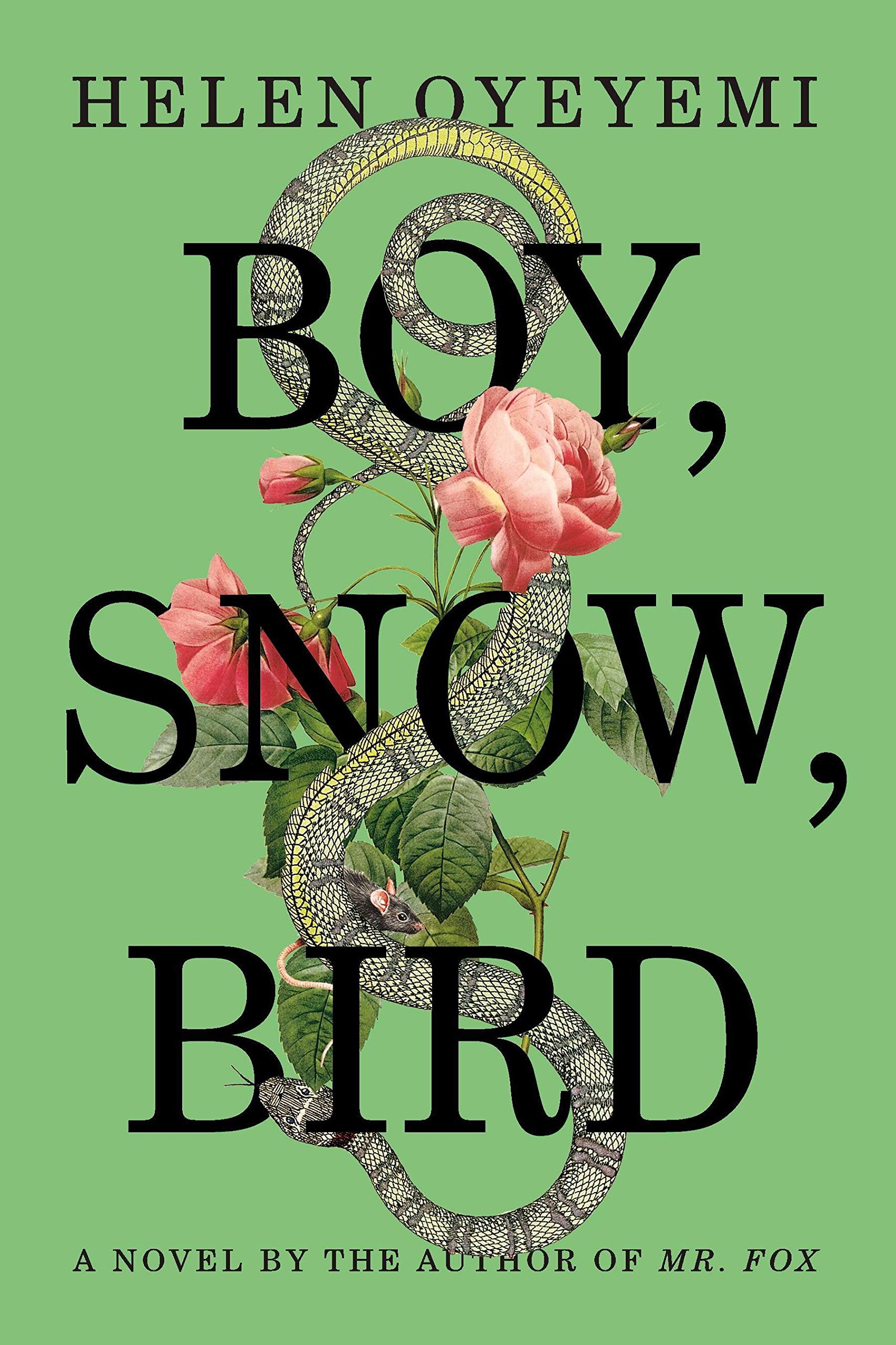 cover to boy snow bird by helen oyeyemi