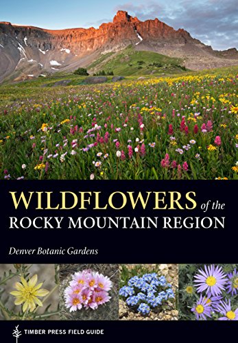 19 Unique Colorado Wildflowers from the Rocky Mountains: Visual Guide