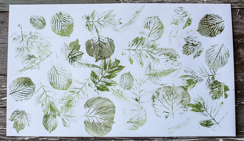 A photo of a piece of paper with printed leaves in green paint. 