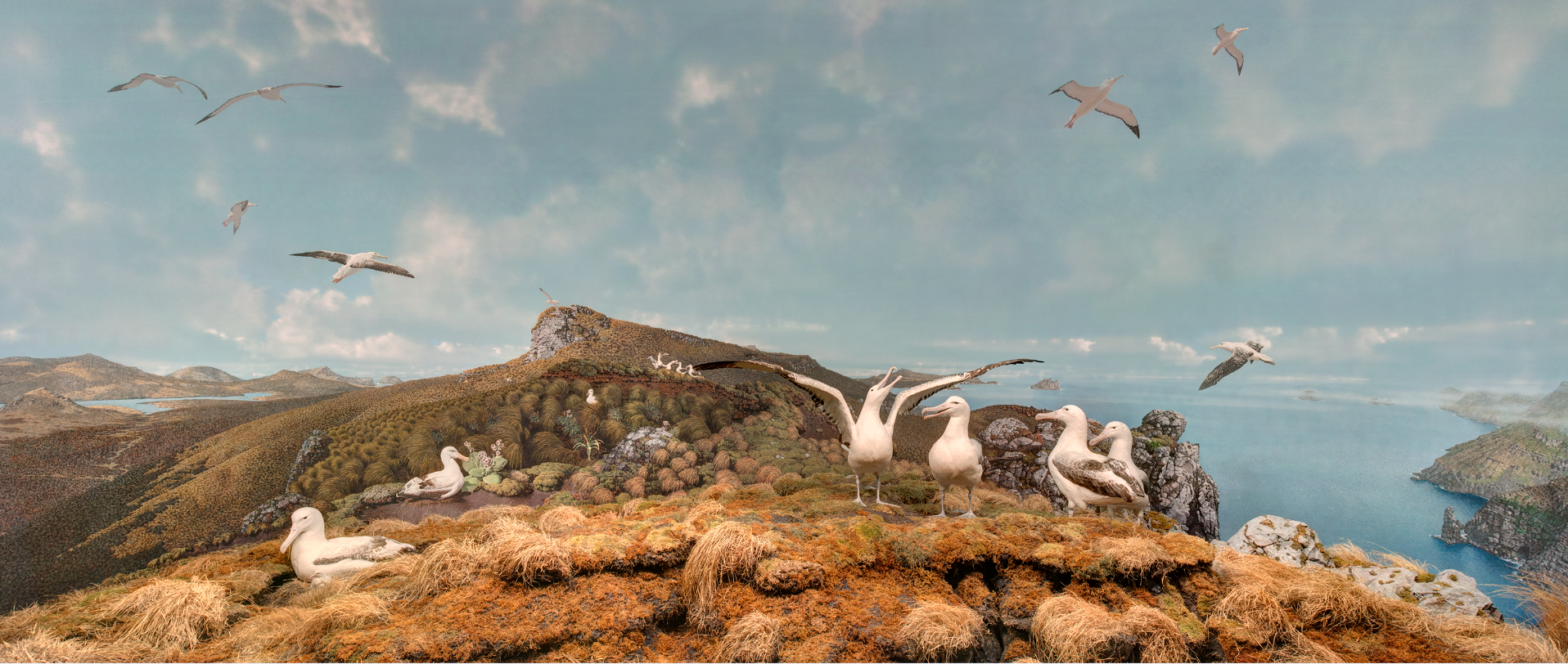 Bird Diorama at Denver Museum of Nature and Science