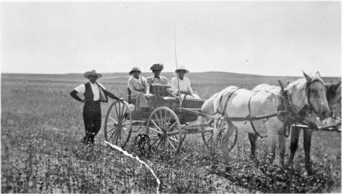 "Dearfield Photograph" Three women sit in a horse drawn carriage and a man stands next to them in Dearfield, CO. Denver Public Library Special Collections.