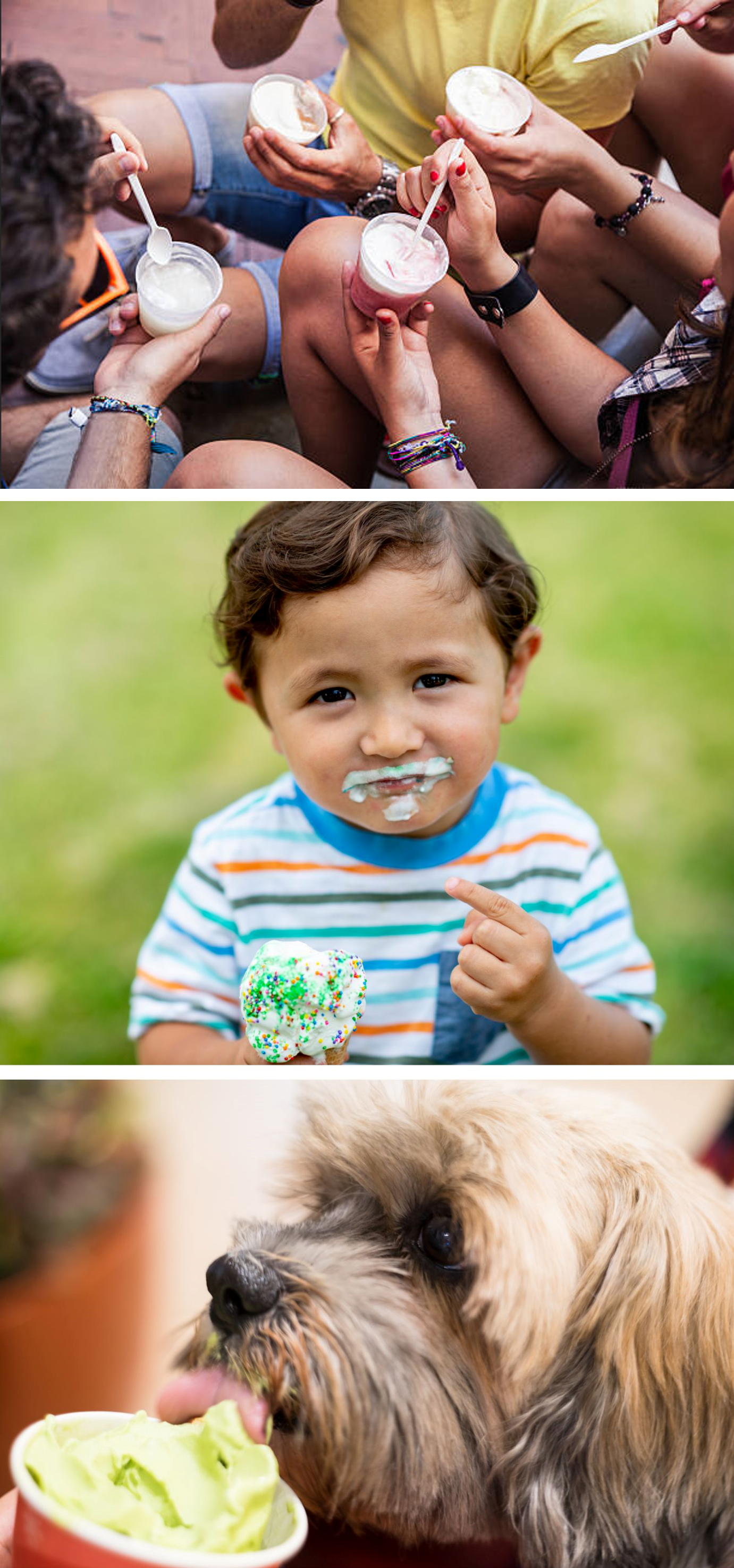Canva and istock photo friends, boy and dog with ice cream