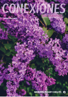 Conexiones cover