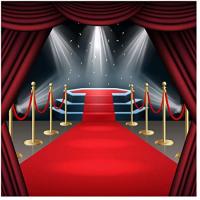 image of red carpet awards walk