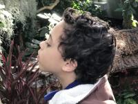 Child studying plants