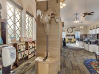 John "Thunderbird Man" Emhoolah, Jr. Branch Library interior