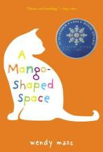 A Mango-Shaped Space: A Novel Book Cover