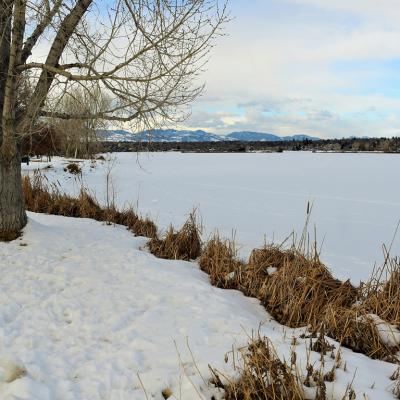 snowy view of Sloan's Lake in Denver, Colorado